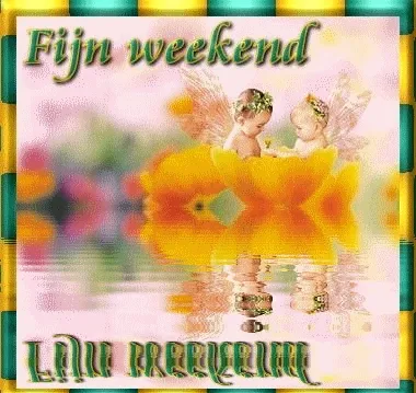 Twee engeltjes zitten in een bloem, met de tekst "Fijn weekend". Omlijst met kleuren.
