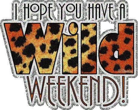 Tekst in groot lettertype met een wilde dierenprint: "Ik hoop dat je een wild weekend hebt!"