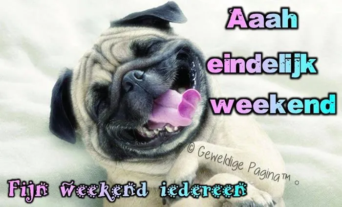 Een blije mopshond met de tekst: "Eindelijk weekend! Fijn weekend iedereen."