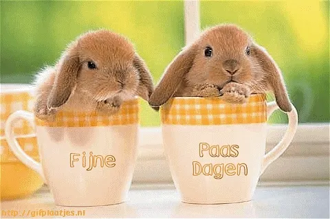 Twee konijntjes zitten in een mok met de tekst 'Fijne Paas Dagen'.