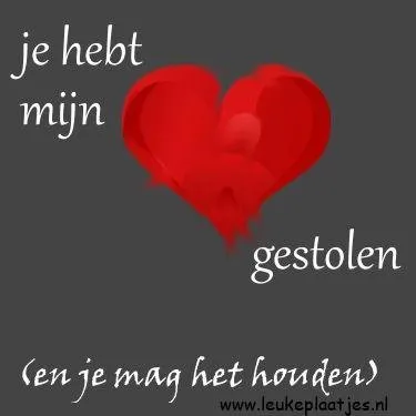 Rood hart met tekst: "je hebt mijn gestolen (en je mag het houden)" op een grijze achtergrond.