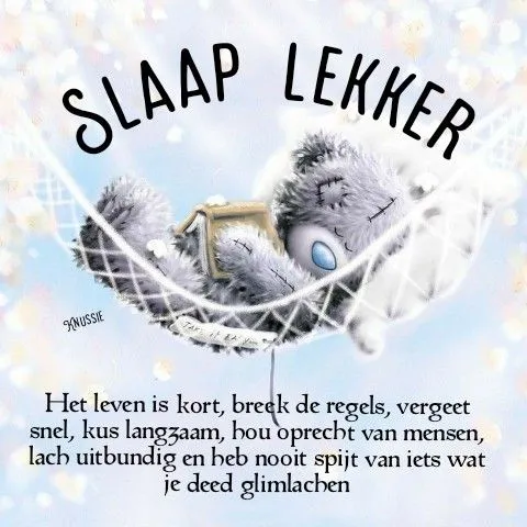ᐅ slaap lekker kus - Welterusten plaatjes Schattige teddybeer in hangmat met inspirerende tekst over het leven.