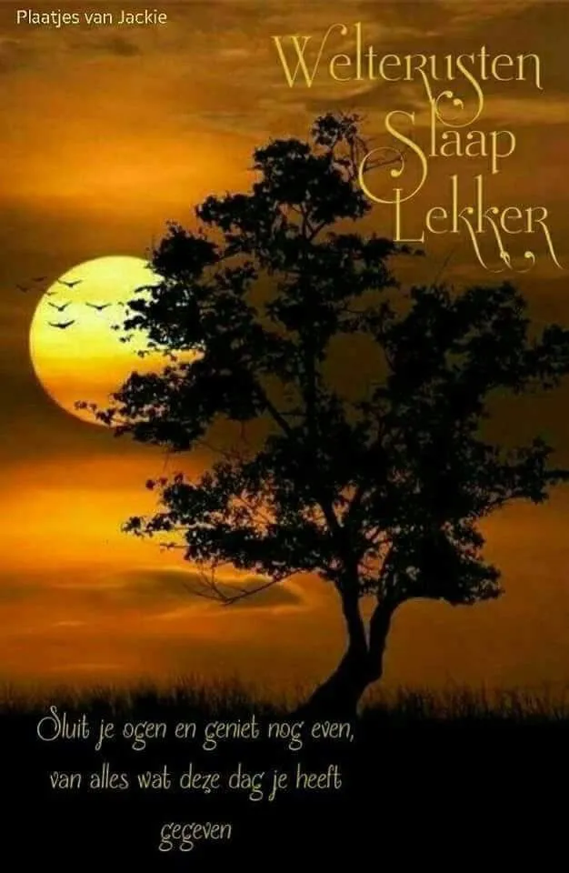 ᐅ slaap lekker kus - Welterusten plaatjes Zwarte boom tegen een achtergrond van de maan en tekst over rust en genieten.