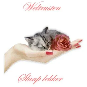 ᐅ slaap lekker kus - Welterusten plaatjes Een slapende kitten op een hand met een roos ernaast, met de tekst "Weltrusten".