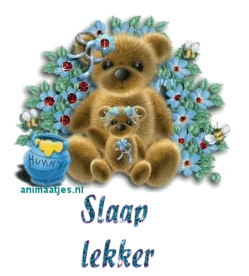 ᐅ slaap lekker kus - Welterusten plaatjes Twee schattige teddyberen omringd door bloemen en een pot honing. Tekst: "Slaap lekker."