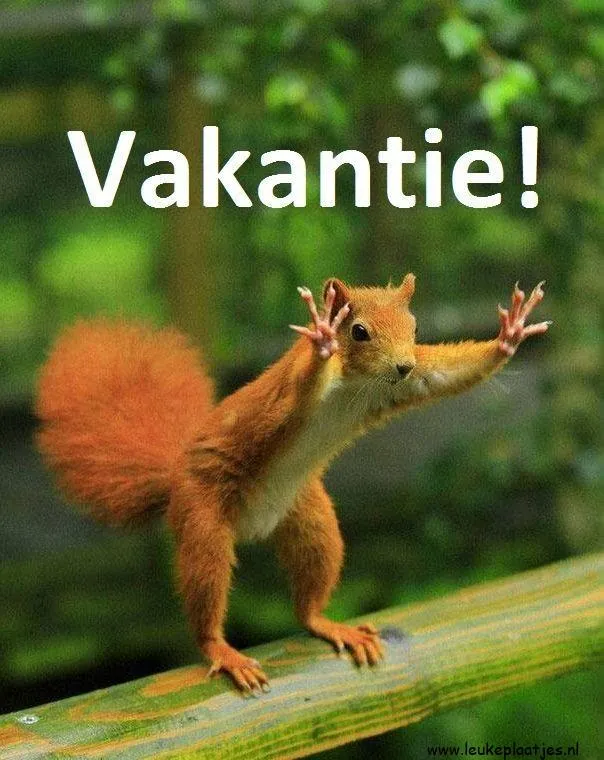 Een eekhoorn met uitgestrekte armen en de tekst 'Vakantie!' achtergronds.