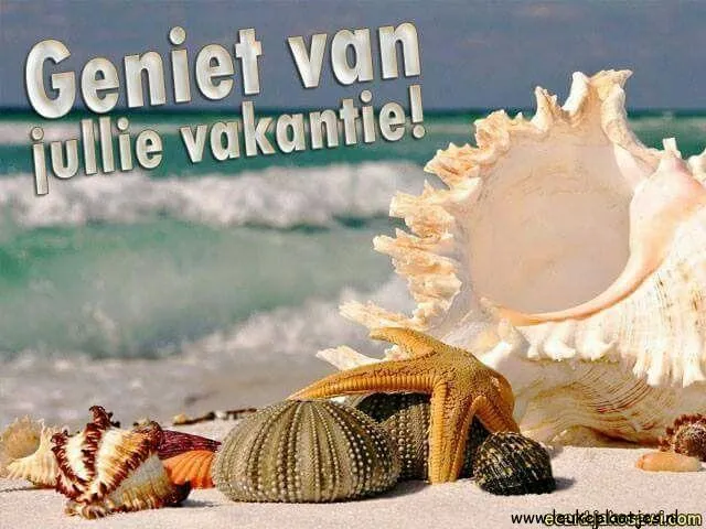Strand met schelpen en een tekst: "Geniet van jullie vakantie!"