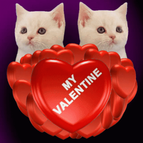 ᐅ valentijn gif - Valentijnsdag plaatjes