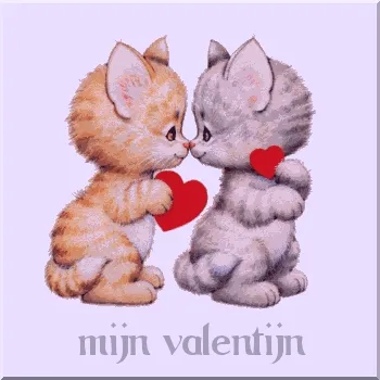 Twee schattige kittens geven elkaar een hartje met de tekst "mijn valentijn".