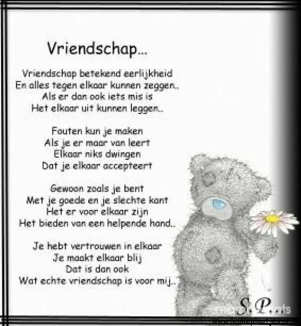 Tekst over vriendschap met een schattige teddybeer en een bloem.