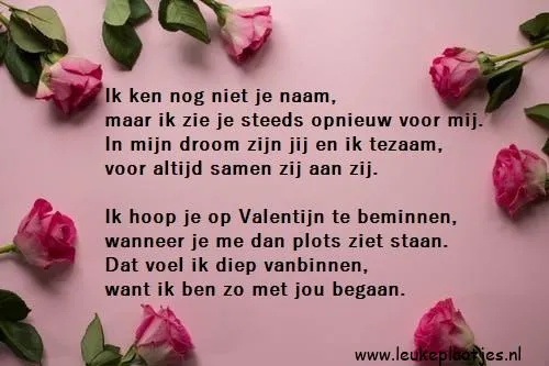 Roze rozen op een achtergrond met een tekst over liefde en herinneringen.