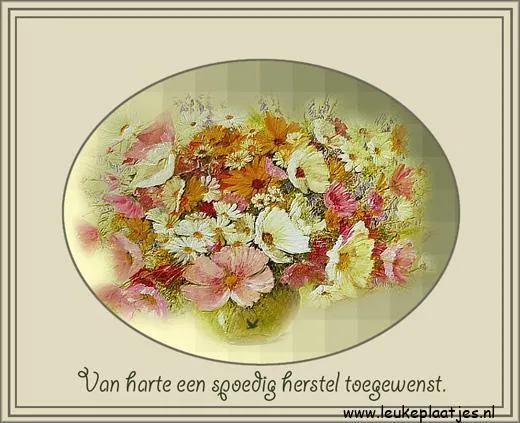 Kleurrijk boeket met bloemen en de tekst: "Van harte een spoedig herstel toegewenst."
