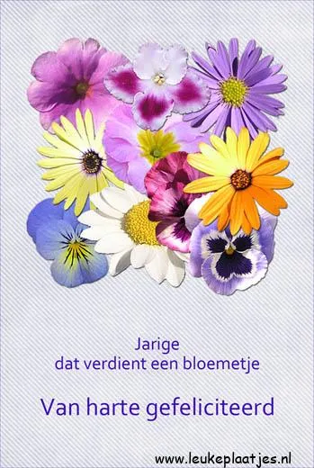 Kleurrijke bloemen met de tekst "Van harte gefeliciteerd" voor een verjaardag.