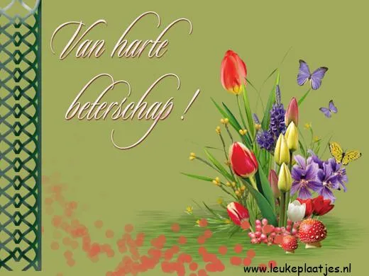 Een boeket kleurrijke bloemen met de tekst "Van harte beterschap!" op een groene achtergrond.