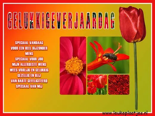 Kleurvolle verjaardagswens met bloemen en een tulpenafbeelding.
