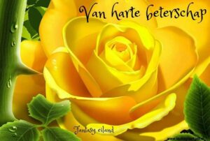 veel beterschap gewenst