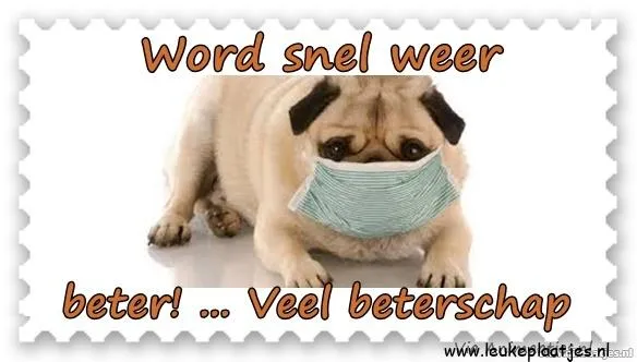 Een zieke mopshond met een mondmasker, met de tekst "Word snel weer beter!"