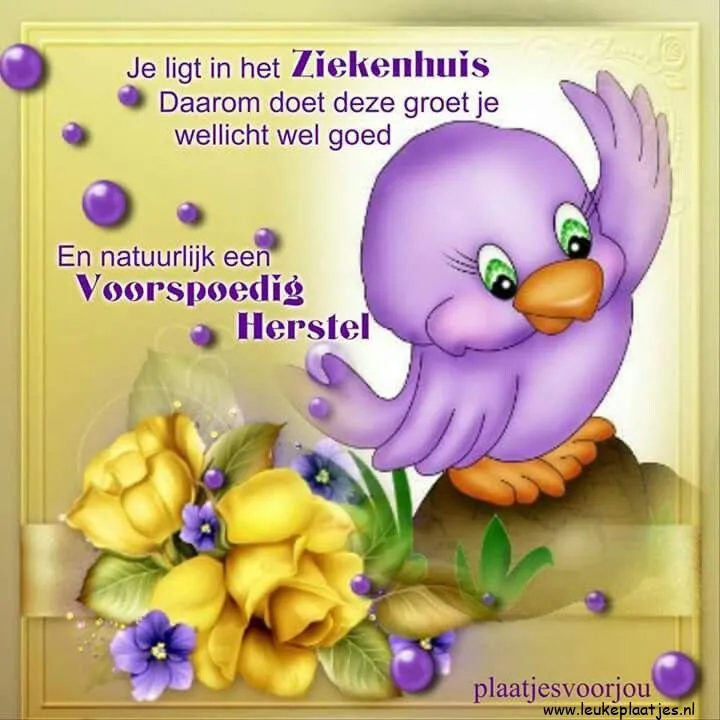 Een paarse vogel met bloemen, wenst beterschap in het ziekenhuis.