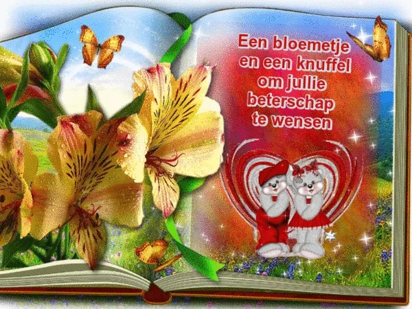 Boek met bloemen en twee teddyberen die beterschap wensen.