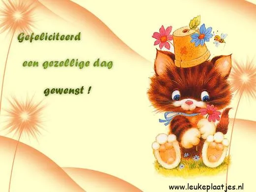 Een schattige kat met een bloempot op zijn hoofd en een wens voor een gezellige dag.