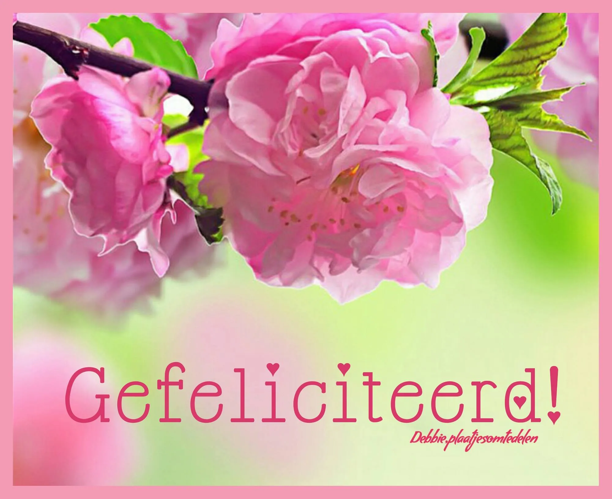 ᐅ verjaardagsplaatjes - Verjaardag plaatjes Roze bloesems met de tekst "Gefeliciteerd!" op een zachte achtergrond.
