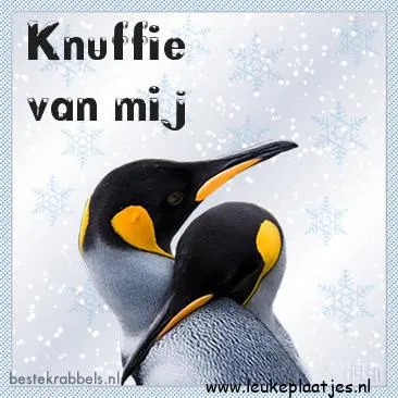 Twee pinguïns omhelzen elkaar voor een sneeuwachtige achtergrond.