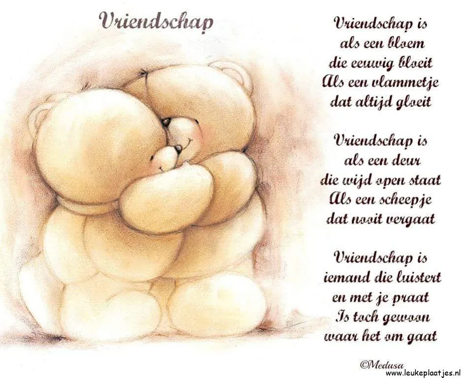 Twee schattige teddyberen omhelzen elkaar met een tekst over vriendschap.