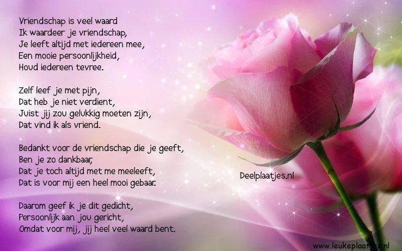 Roze bloem met tekst over vriendschap en dankbaarheid op een zachte achtergrond.