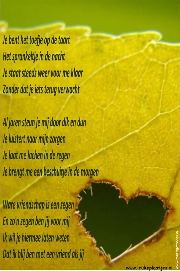 Tekst op een taartschaal met een blad en een hartvormige opening.