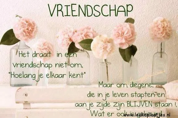 Een afbeelding met text over vriendschap en bloemen in een vaas.