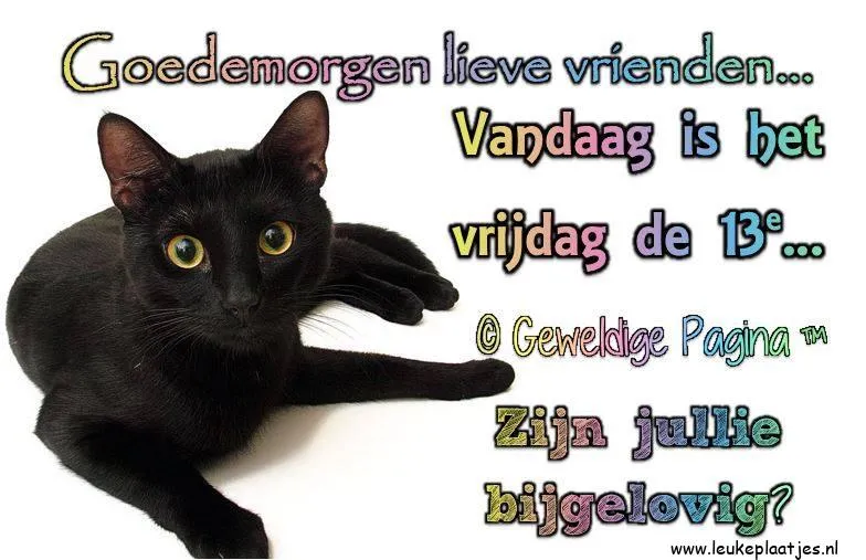 Zwarte kat met kleurrijke tekst over vrijdag de dertiende en geluk.