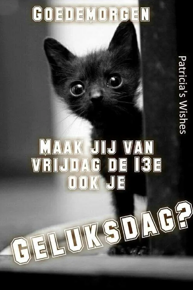 Zwarte kitten kijkt met grote ogen naar de camera, tekst over een geluksdag erbij.