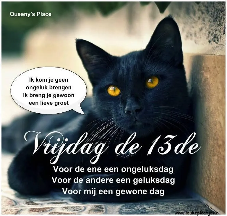 Zwarte kat zit op de grond met tekst over vrijdag de 13de.