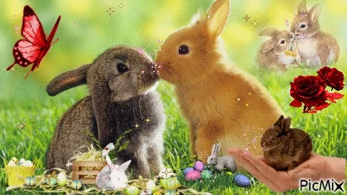 Twee konijnen knuffelen met kleurrijke bloemen en decoraties op de achtergrond.