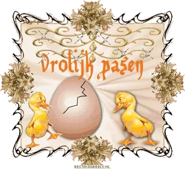 Twee kuikens met een gebroken ei, versierd met paasdecoraties en tekst.