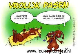 Konijn ligt ontspannen op hooi met een paasmand ernaast. Vrolijke paasgroet.