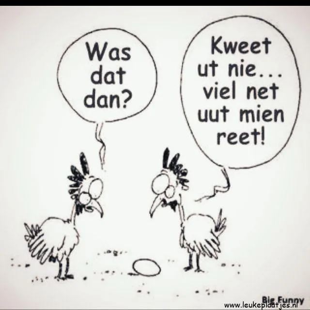 Twee gekke kippen praten over een ei dat is gevallen.