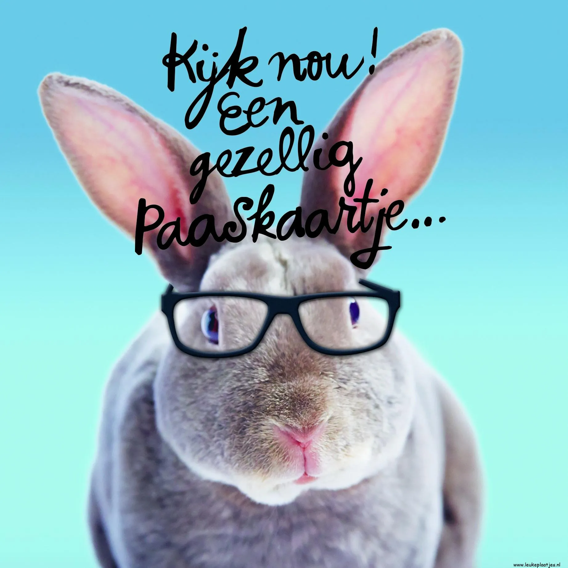 Konijn met bril op een blauwe achtergrond, tekst over een Paaskaartje.
