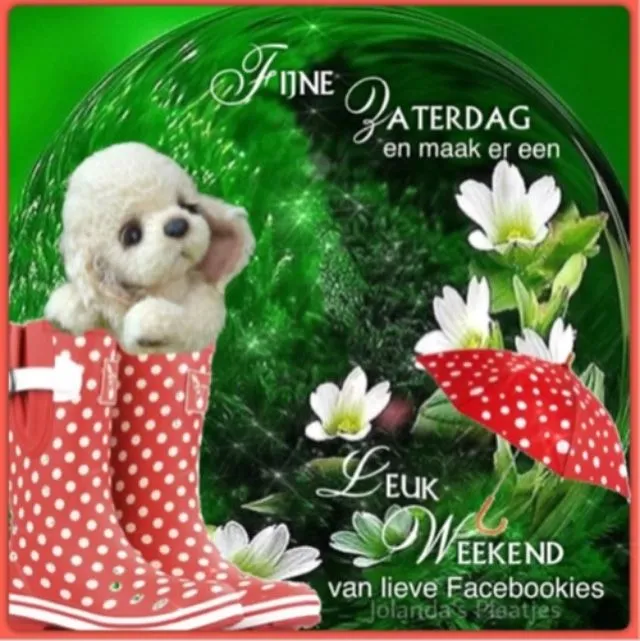 Afbeelding met een schattige hond en laarzen, met tekst voor een leuk weekend.