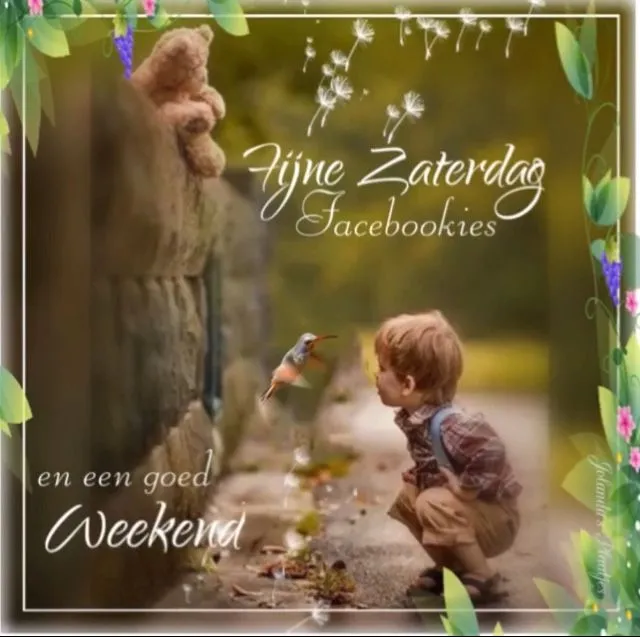 Jongen kijkt naar een kleurrijke vogel in een natuurlijke omgeving.