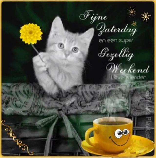 Grijze kat met een bloem, koffie met lachend gezicht, wensen voor een fijn weekend.