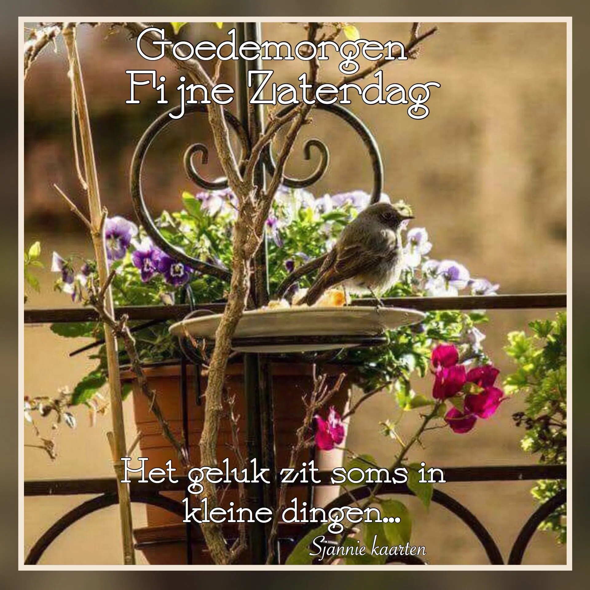 Een vogel zit op een bloempot met bloemen, tekst: "Goedemorgen, fijne zaterdag."