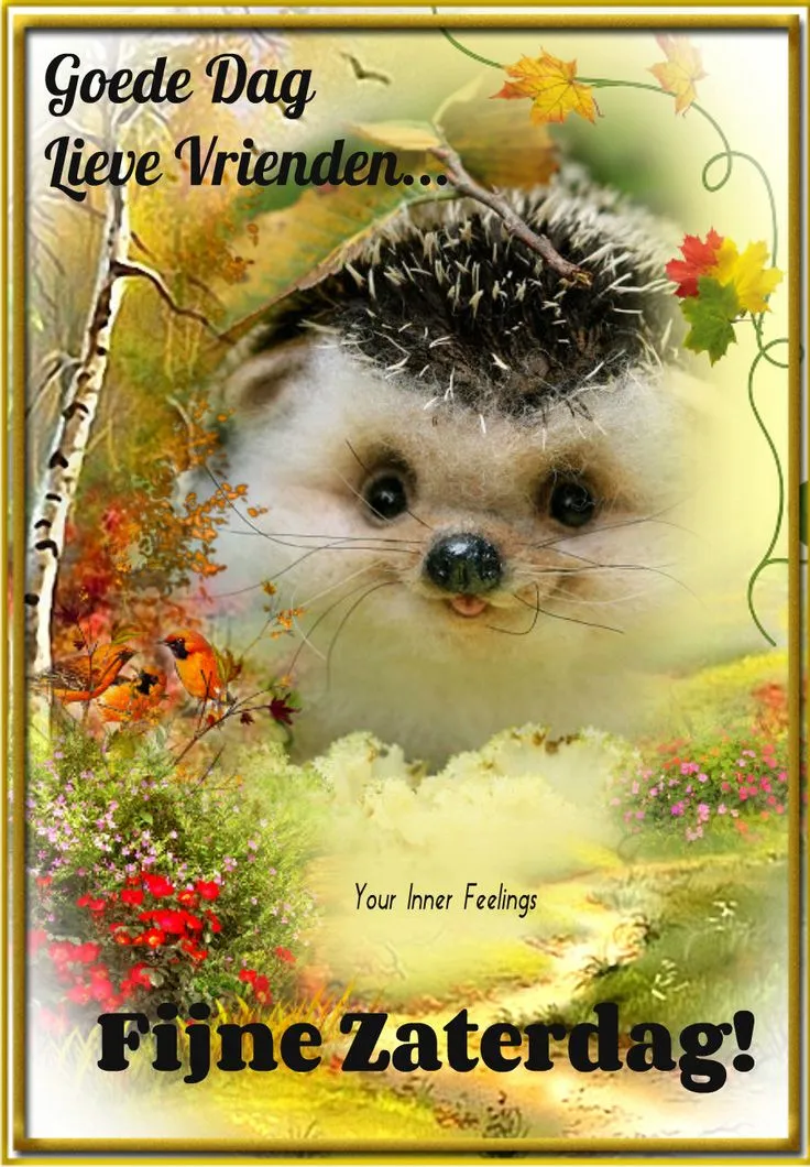 Een schattig egeltje met herfstlandschap en de tekst "Fijne Zaterdag!" erboven.