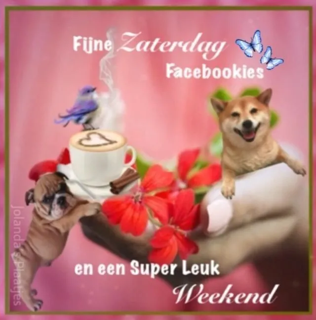 ᐅ weekend fijne zaterdag - Zaterdag plaatjes