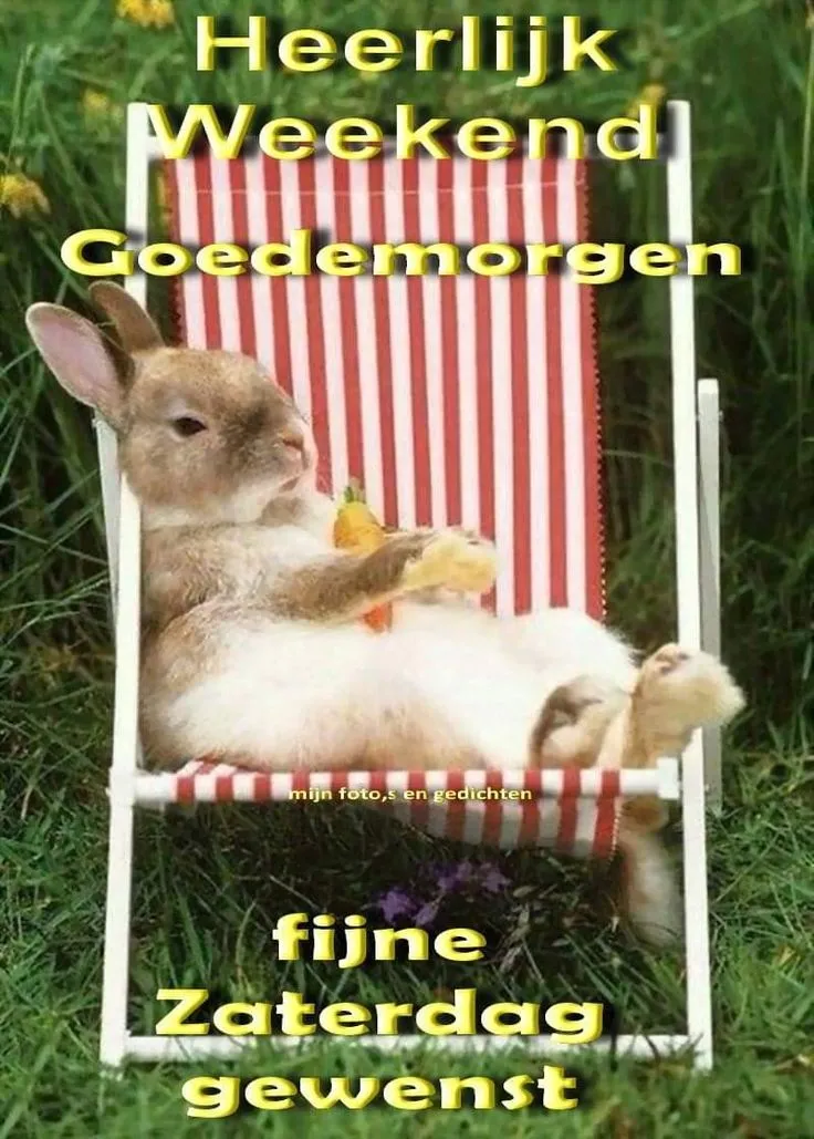 ᐅ weekend fijne zaterdag - Zaterdag plaatjes