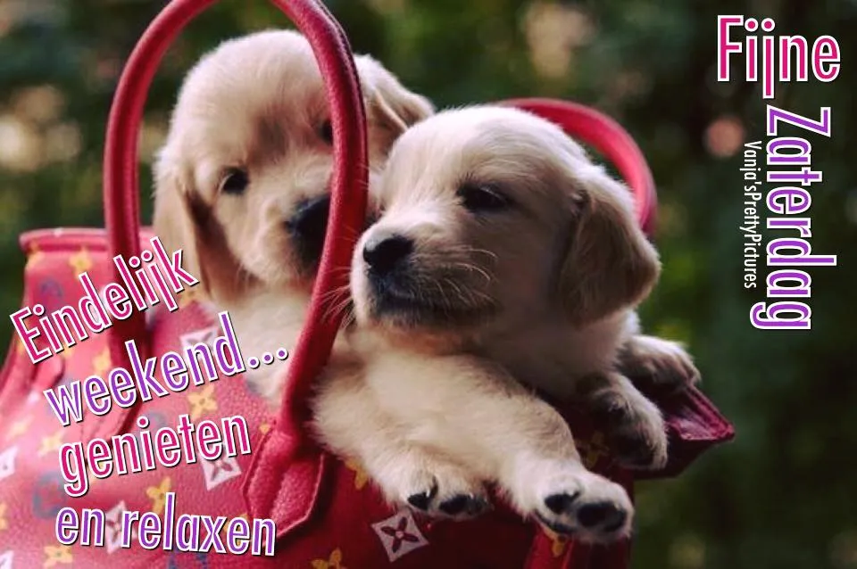 ᐅ weekend fijne zaterdag - Zaterdag plaatjes