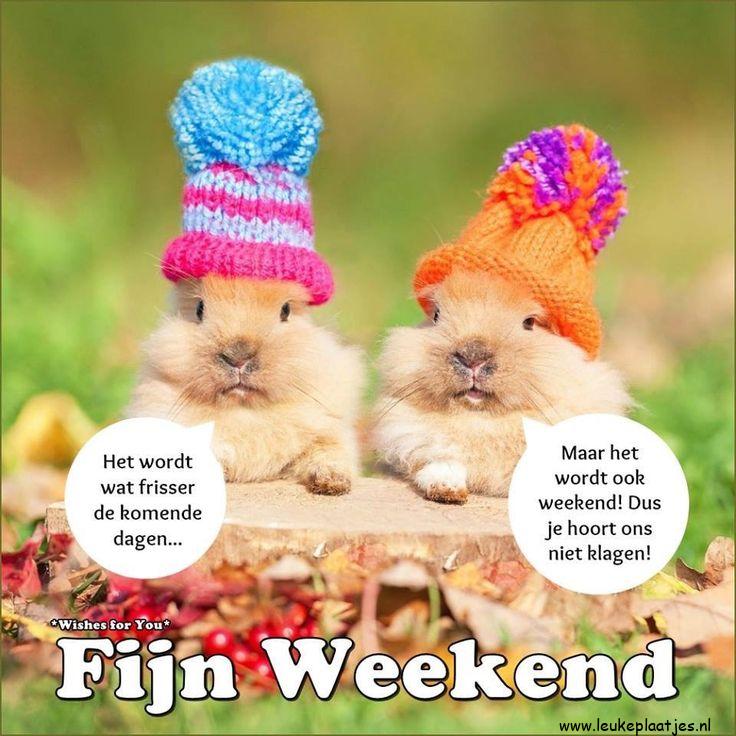 ᐅ weekend plaatjes - weekend plaatjes plaatjes