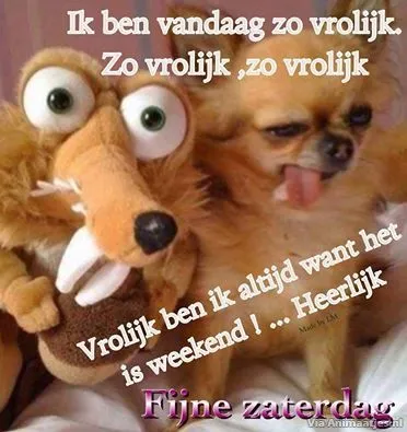 Een verkleed persoon met een hond, beiden met vrolijke gezichten en teksten over het weekend.