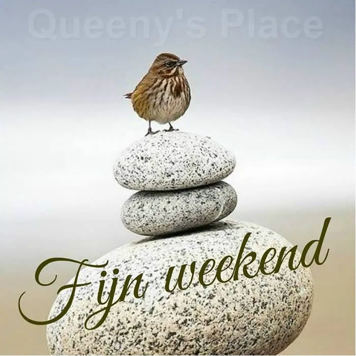 Vogel zit op een stapel stenen met de tekst "Fijn weekend" eronder.