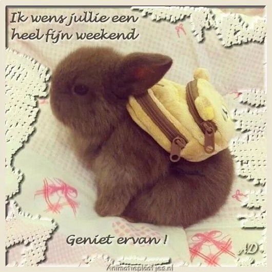 Een konijn met een rugzakje op een zachte achtergrond. Wens voor een fijn weekend.